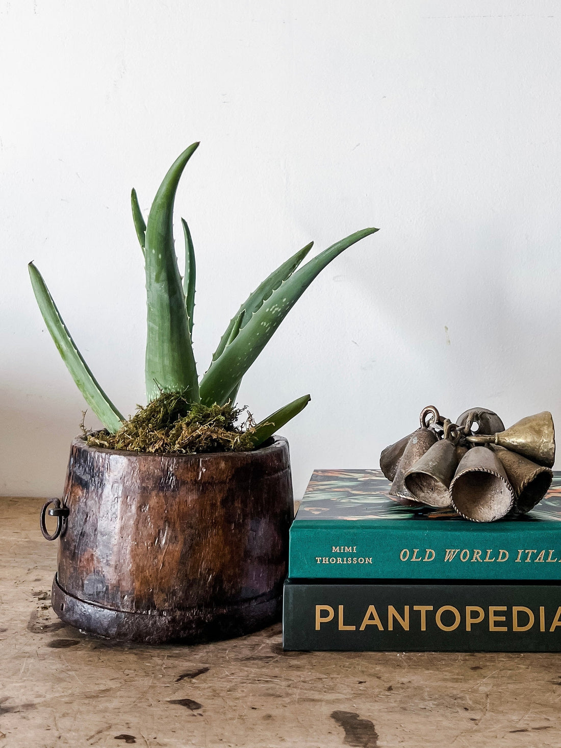 Petite Dark Wood  Bowl/ Planter